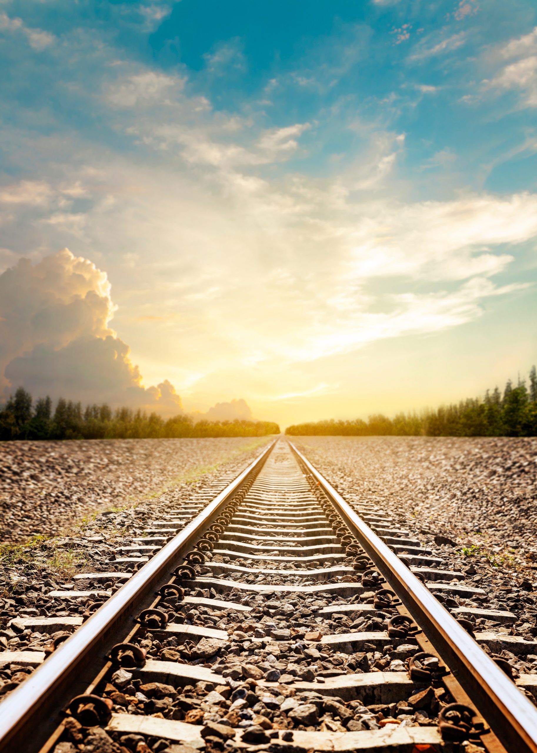 Parallel Tracks | Torah and Science